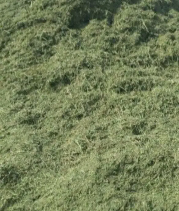 یونجه|لوازم جانبی حیوانات|دینور, |دیوار