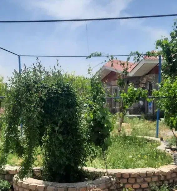 ویلا باغ ۳۰۰۰م۶دانگ تک برگ+دامداری باپروانه۱۹۵راسی|فروش خانه و ویلا|قم, نیروگاه|دیوار