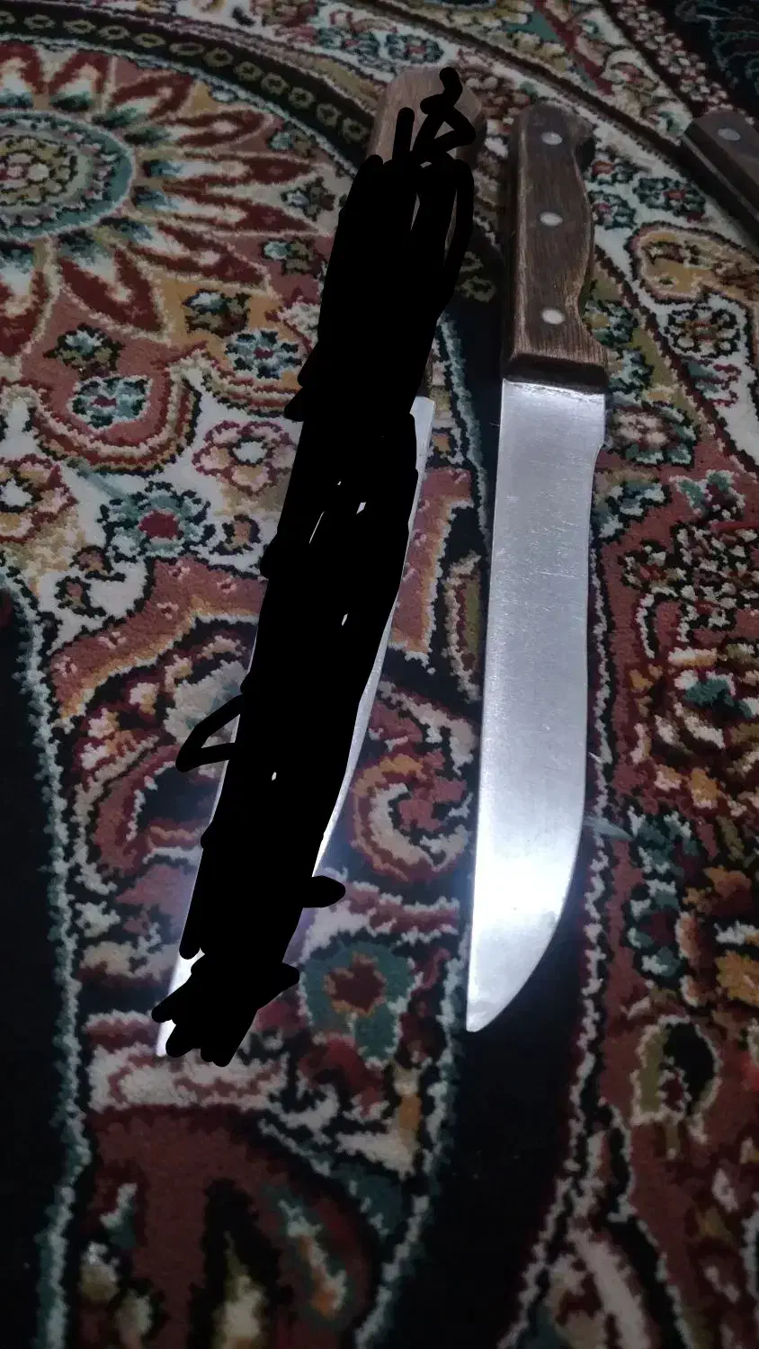 چاقو های آزادی و خارجی|ظروف پخت‌وپز|باقرشهر, |دیوار