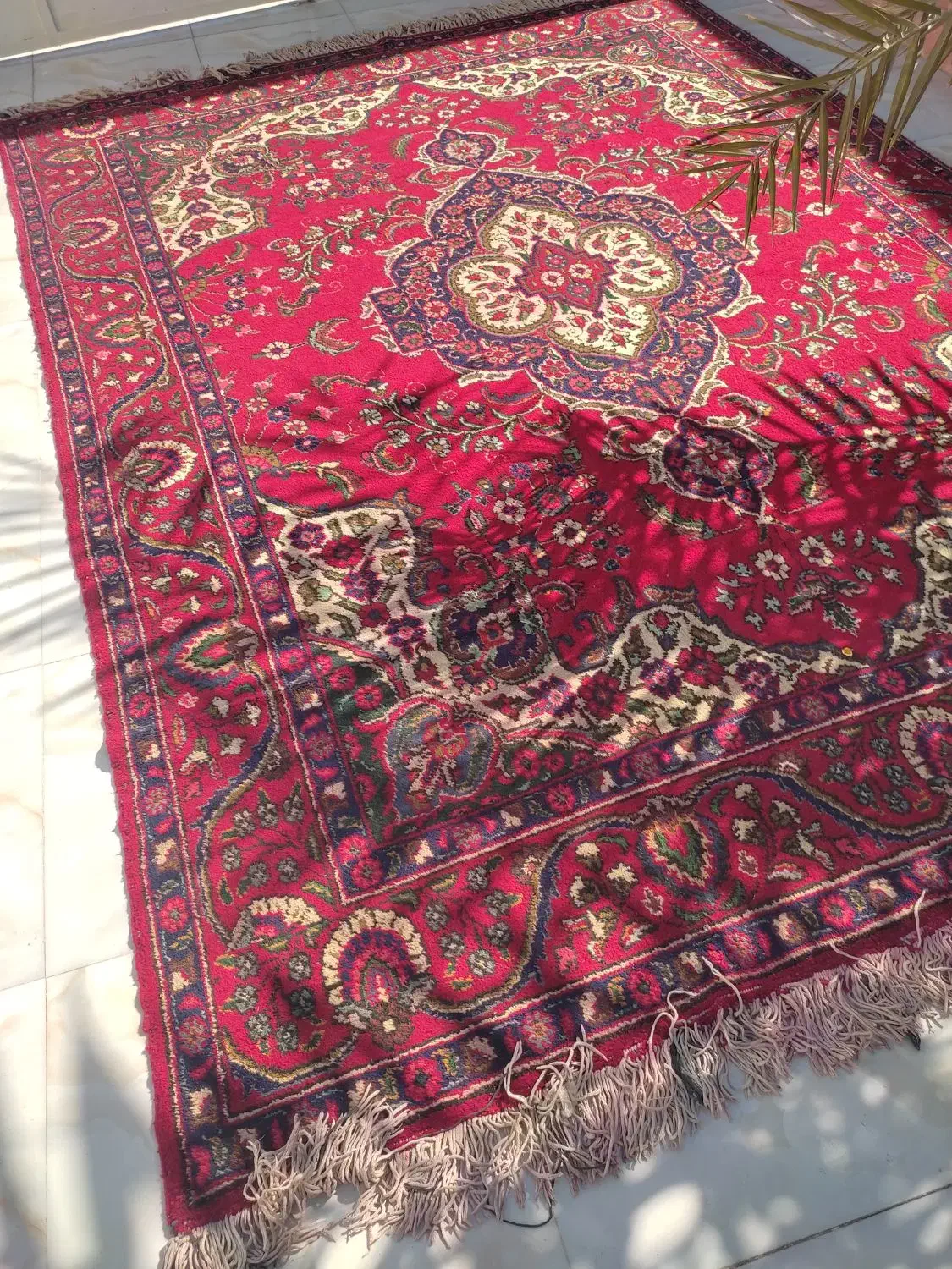 قالی  دس باف|فرش|باوی, |دیوار