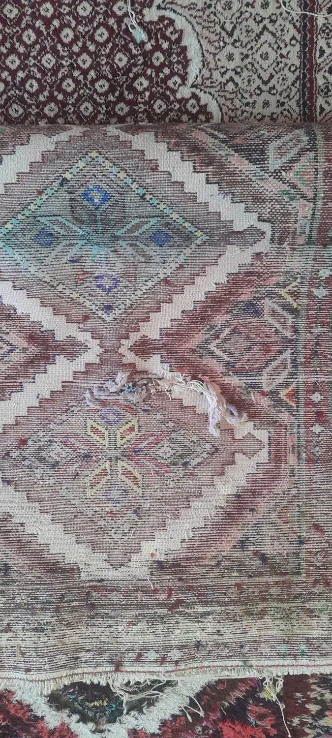 قالی دست بافت ۵ملیون|فرش|کرمانشاه, |دیوار