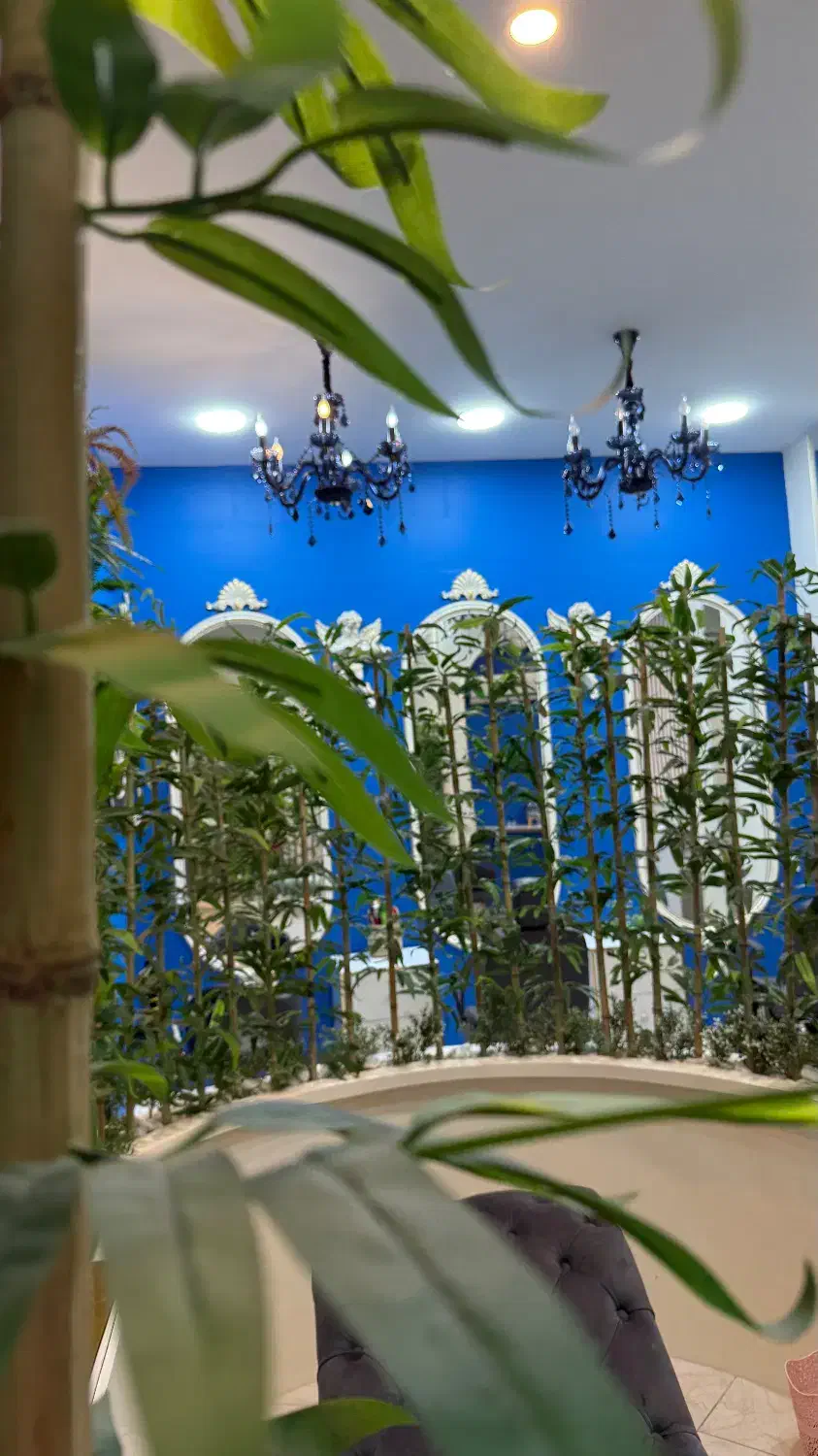 آموزش اصلاح ابرو به شرط استخدام|استخدام درمانی، زیبایی، بهداشتی|محمدشهر, همایون ویلا|دیوار