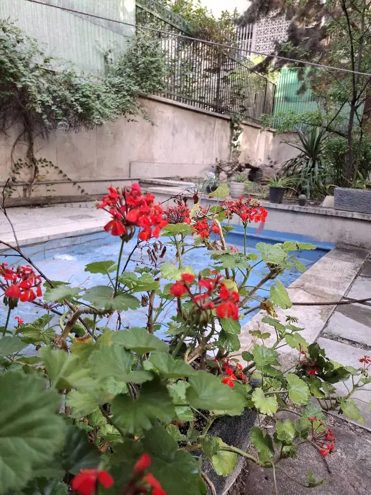 خوابگاه اقامتگاه پانسیون دخترانه گرندپالاس جردن|اجارهٔ خانه و ویلا|تهران, امانیه|دیوار