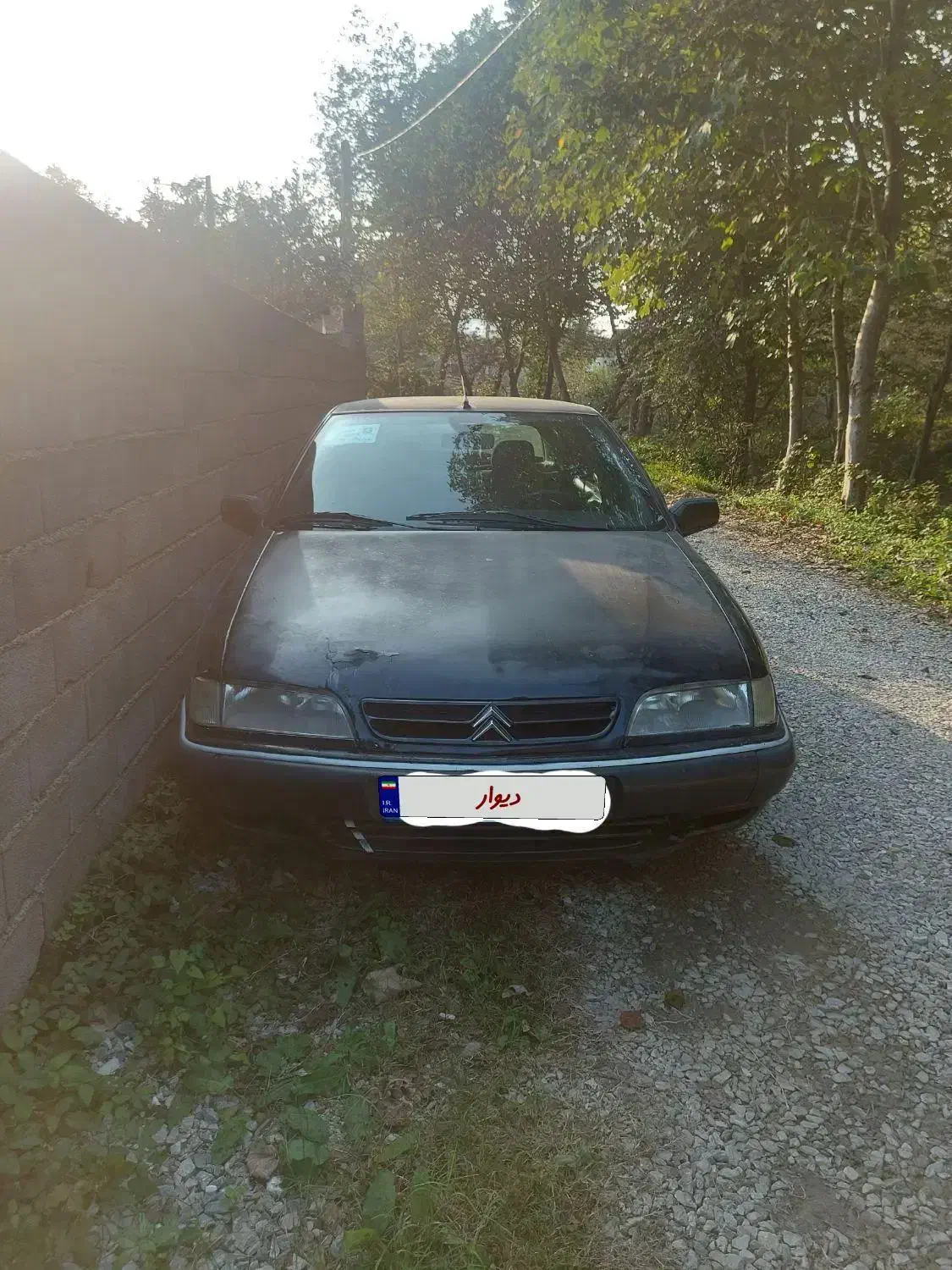 زانتیامدل ۸۱|خودرو سواری و وانت|نوشهر, |دیوار