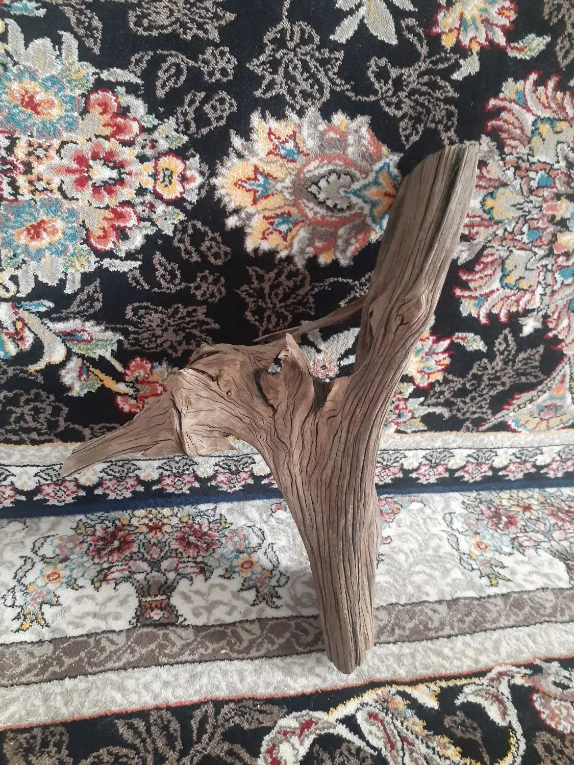 چوب ابنوس|ماهی|تالش, هشتپر|دیوار