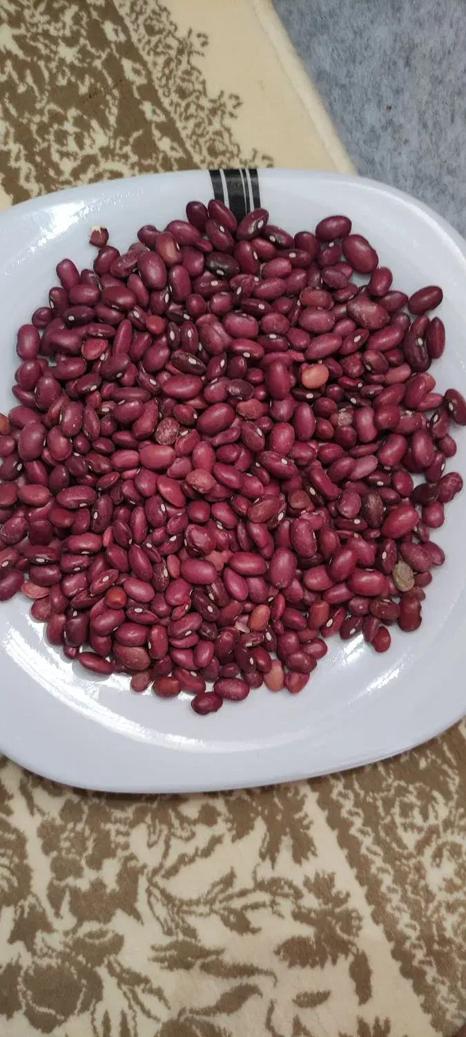 لوبیاقرمز|خوردنی و آشامیدنی|پاسارگاد, |دیوار