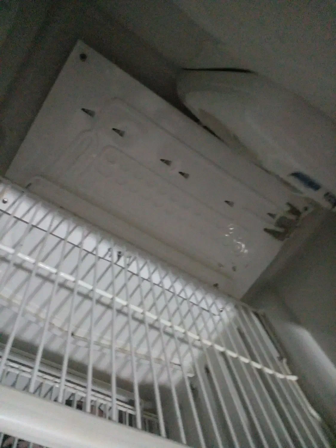 یخچال گلسان|یخچال و فریزر|بجنورد, |دیوار