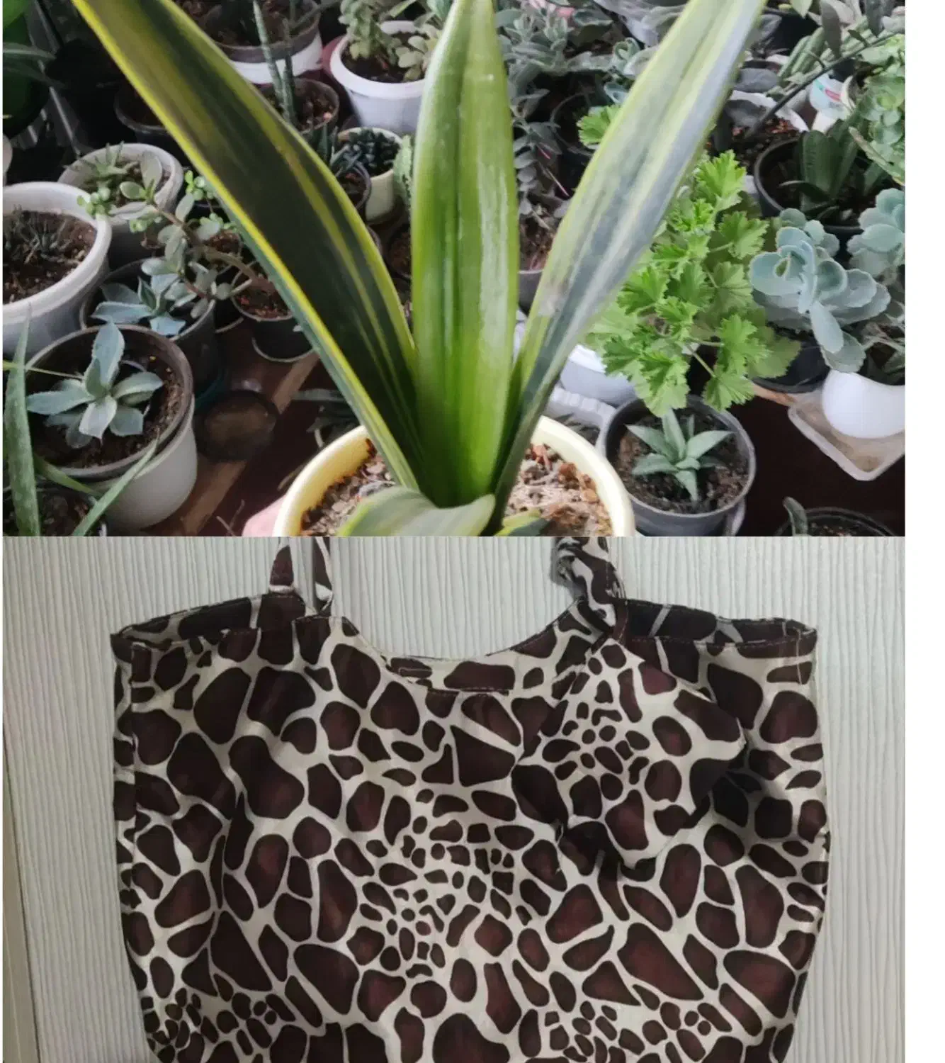 کیف وسایل|کیف، کفش، کمربند|مرند, |دیوار