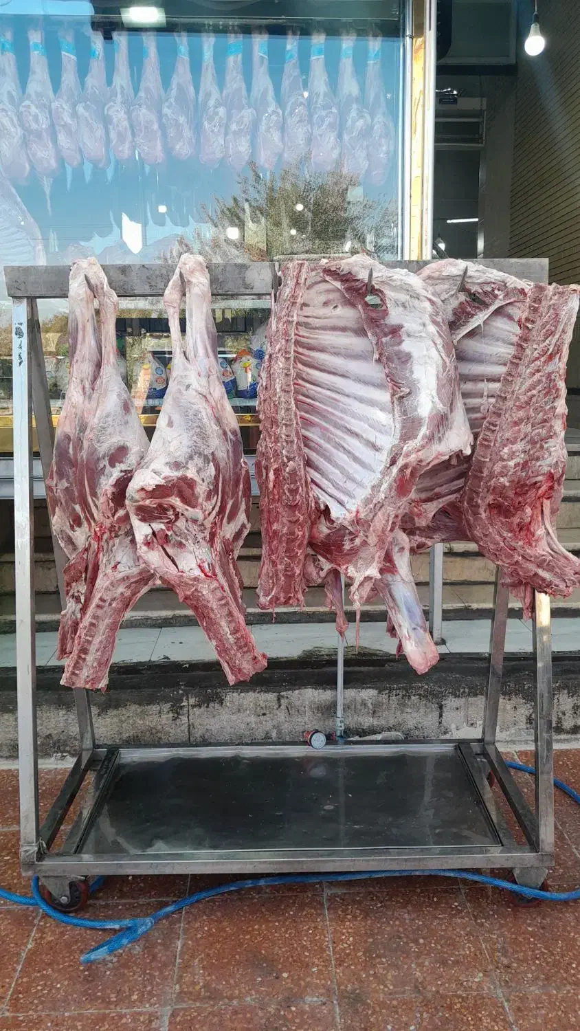 تهیه وتوضیع انواع گوشت گوسفند گوساله شتر شتر مرغ|خوردنی و آشامیدنی|شیراز, سیاه سنگ|دیوار