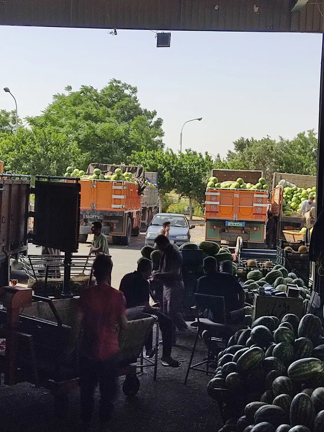 اجاره حجره تره بار مرکزی تهران  فاز 2سالن 10 پ 27|اجارهٔ مغازه و غرفه|تهران, میدان میوه و تره‌بار مرکزی|دیوار