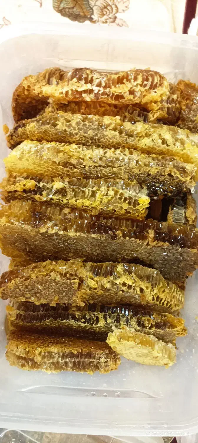 عرضه عسل درمانی کوهستانی|خوردنی و آشامیدنی|مرند, |دیوار