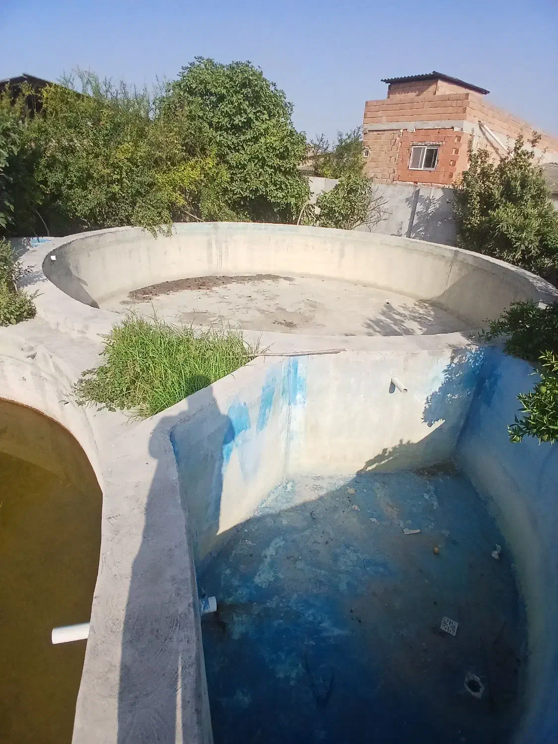 پرورش ماهی|استخدام صنعتی، فنی، مهندسی|کردکوی, |دیوار