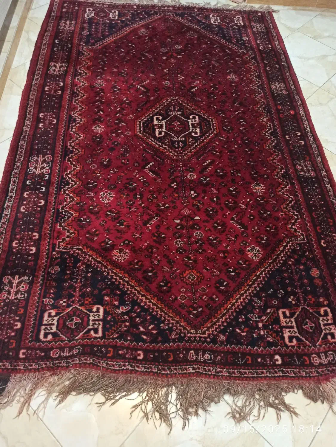 فرش دستبافت بلوچی|فرش|مشکین‌دشت, |دیوار