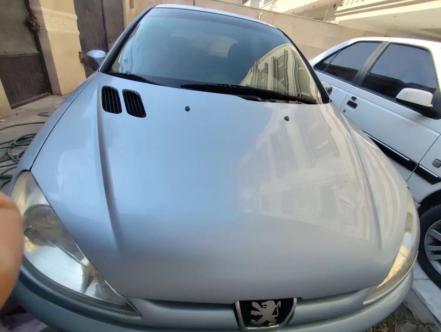 206 مدل 83 بدون ضربه در حد|خودرو سواری و وانت|بندرعباس, |دیوار