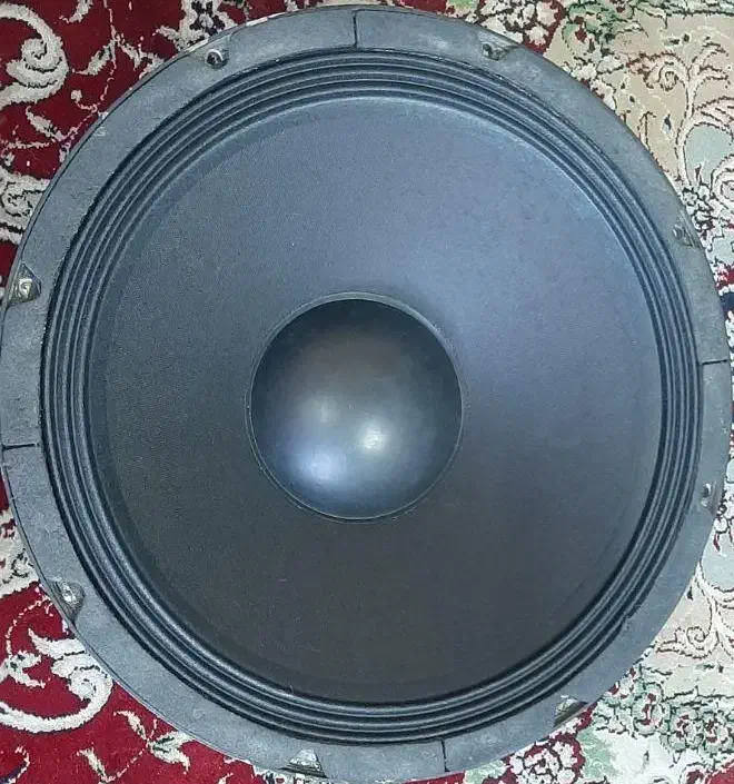 ساب اکتیو 15 اینچ طرح باندی|سیستم صوتی خانگی|شیراز, احمدی جنوبی|دیوار