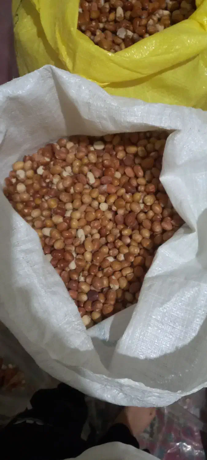 سنجد|خوردنی و آشامیدنی|دلیجان, |دیوار