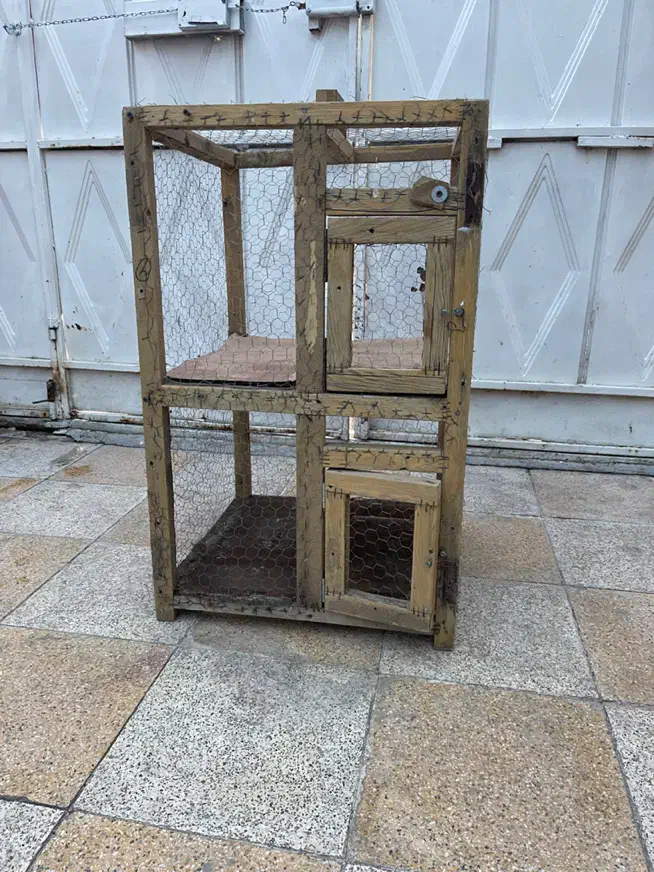 یک عدد قفس چوبی دوطبقه|پرنده|نجفآباد, شهید بهشتی|دیوار