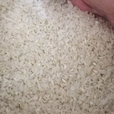 برنج کامفیروزی درجه یک|خوردنی و آشامیدنی|زرقان, |دیوار