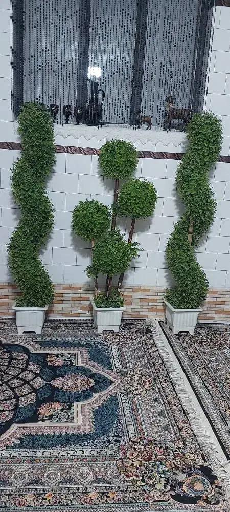 گل‌های زیبا|گل مصنوعی|شیراز, شهرک مطهری|دیوار