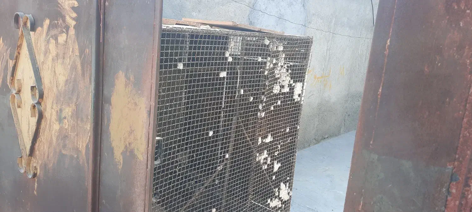 قفس پرنده سنگین|لوازم جانبی حیوانات|میناب, |دیوار