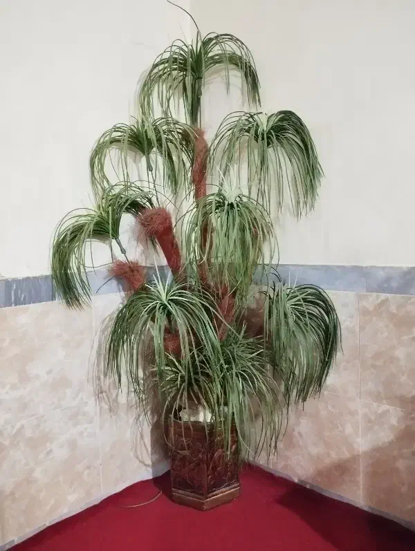 نخل مصنوعی|گل مصنوعی|اسلامآباد غرب, |دیوار