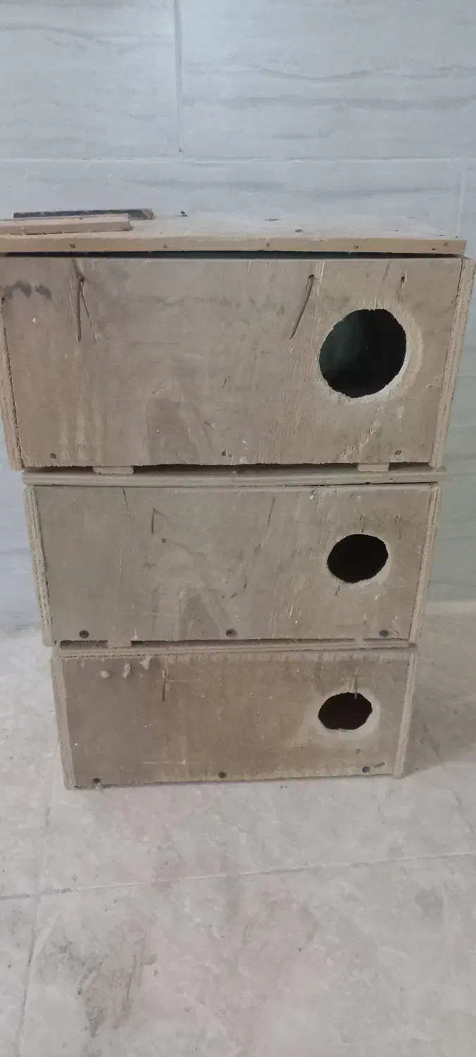 لونه پرنده|لوازم جانبی حیوانات|بوشهر, |دیوار