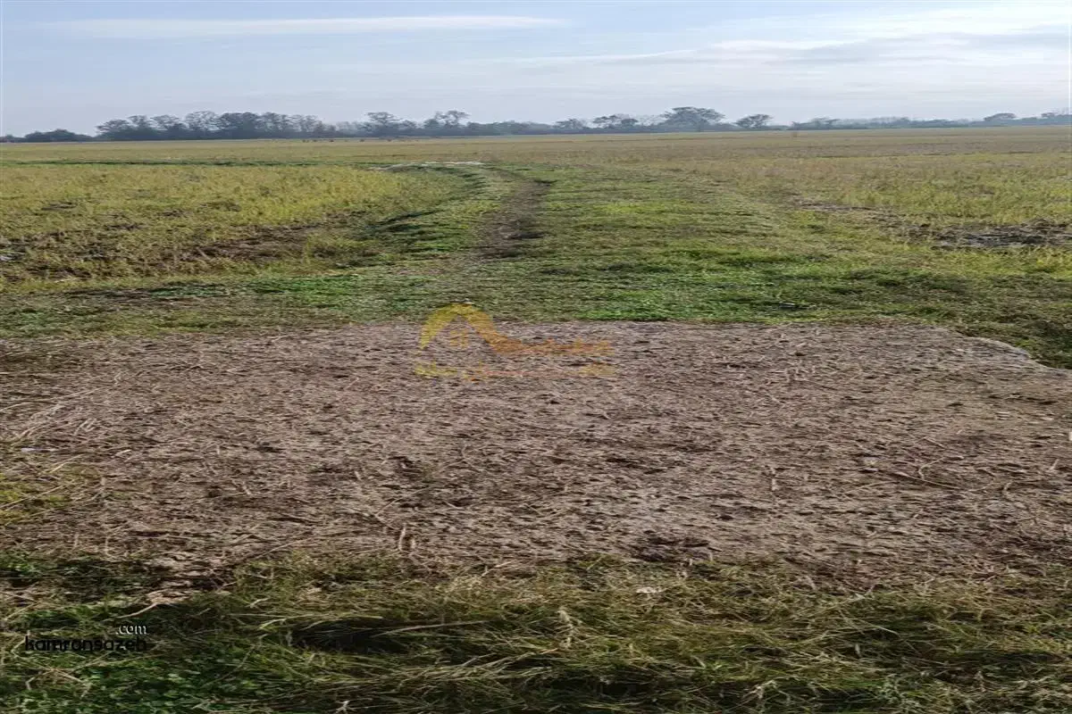 زمین کشاورزی|فروش دفتر صنعتی، کشاورزی، تجاری|لالجین, |دیوار