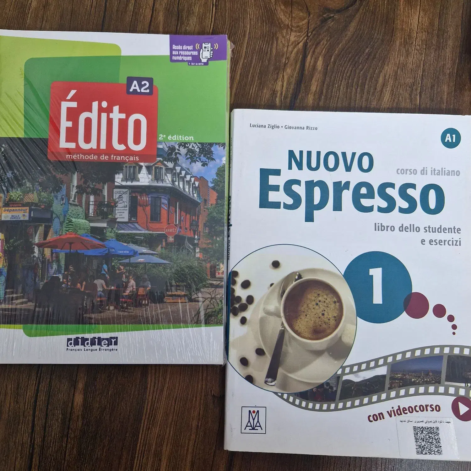 تدریس خصوصی زبان ایتالیایی و فرانسوی|خدمات آموزشی|شیراز, زرهی|دیوار