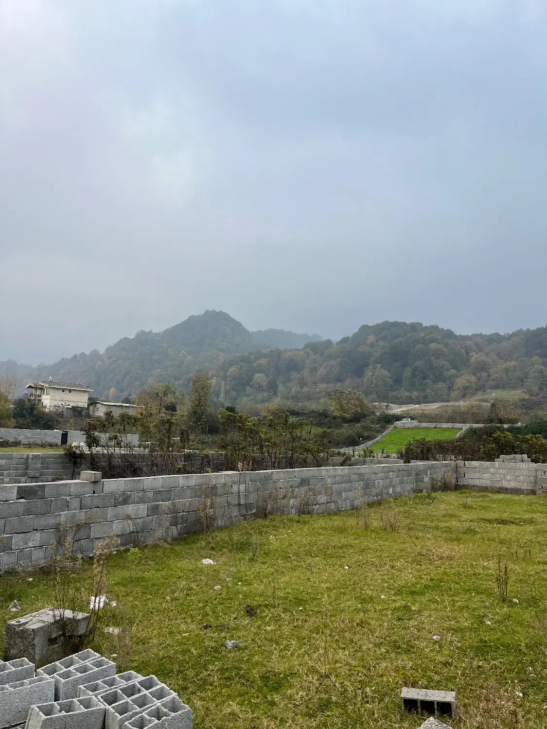 فروش فوری زمین ویو جنگل خیابان شعبانی|فروش زمین و ملک کلنگی|کلارآباد, |دیوار