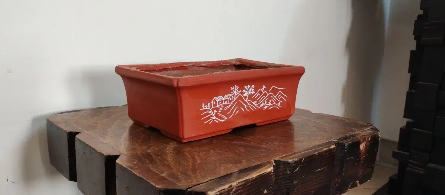 تعدادی گلدان اصلی بونسای،بن سای،بن سای|گل و گیاه طبیعی|کرج, شهرک امام رضا (ع)|دیوار