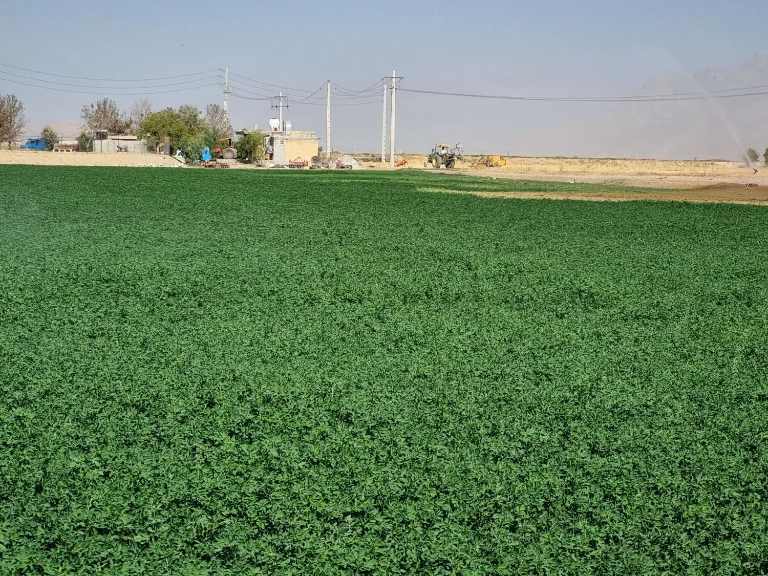 زمین کشاورزی با چاه عمیق مرودشت روستای اسفدران|فروش زمین و ملک کلنگی|مرودشت, بیست متری بیمارستان|دیوار