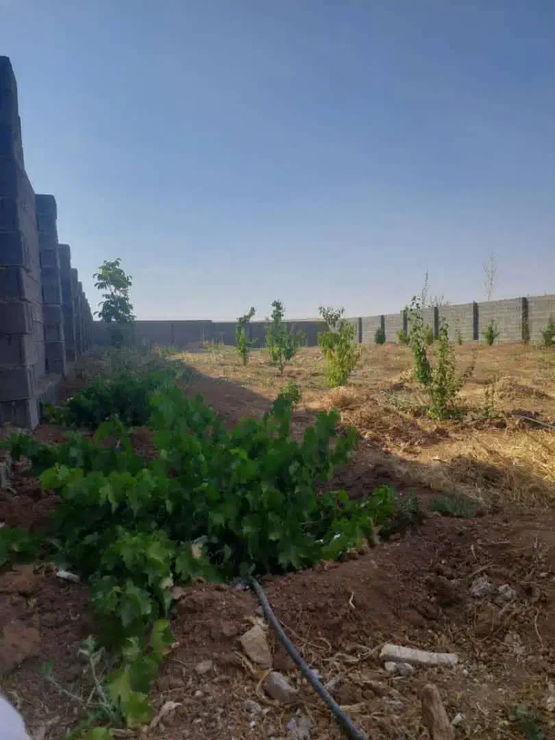 فروش باغ ۱۰۰۰ متری الیاس آباد|فروش خانه و ویلا|ارژن, |دیوار