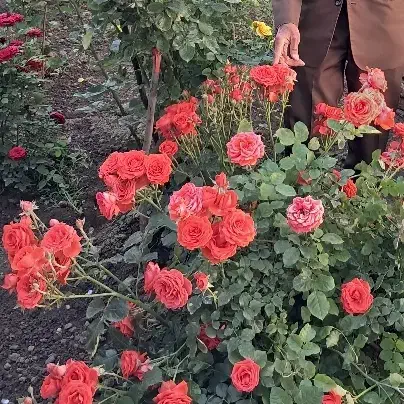 وام ۳۵۰ ازدواج را ۱۵۰ ،و۳۰۰ رو۱۳۰ خریدارم|خدمات مالی، حسابداری، بیمه|مشگین شهر, |دیوار