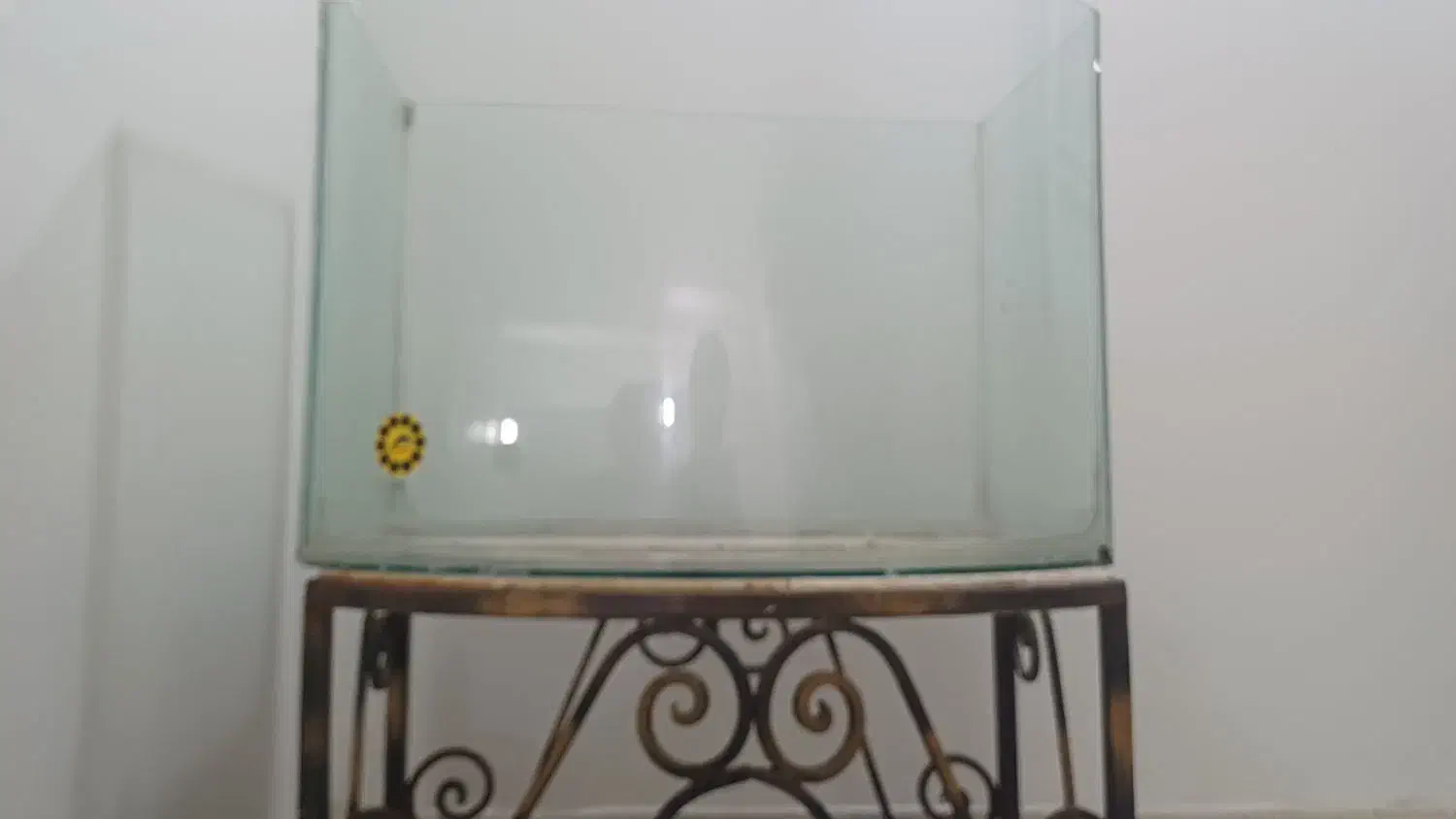 آکواریوم|ماهی|تهران, هفده شهریور|دیوار