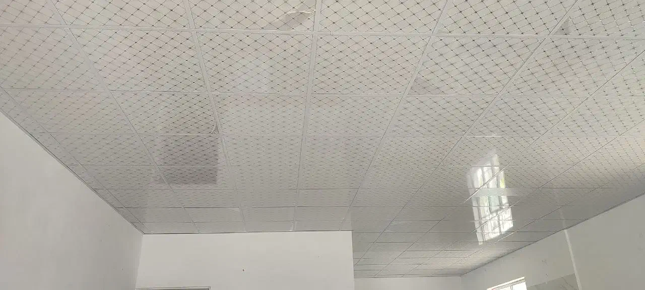 نصاب سقف کاذب|خدمات پیشه و مهارت|رباطکریم, رباطکریم|دیوار