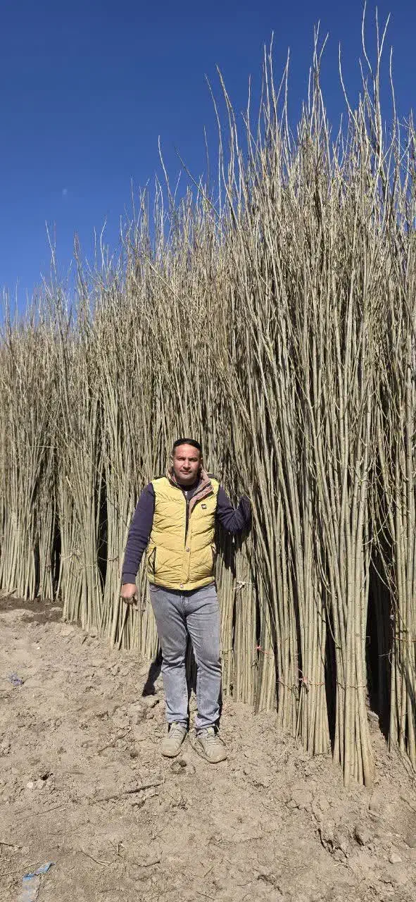 نهال فروشی مهندس فرخی|خدمات باغبانی و درختکاری|یاسوج, |دیوار