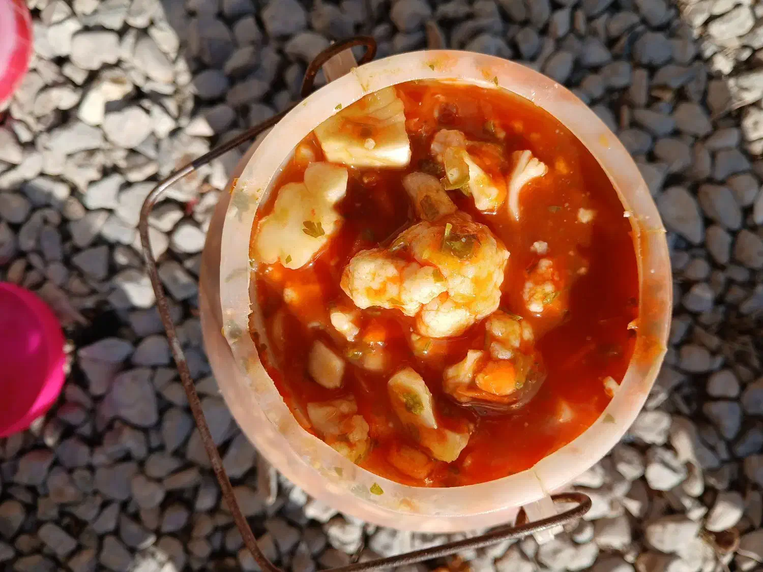 حراج سالاد زمستانی|حراج|قوچان, |دیوار