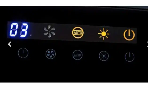 درسا هود|هود|رومشکان, |دیوار