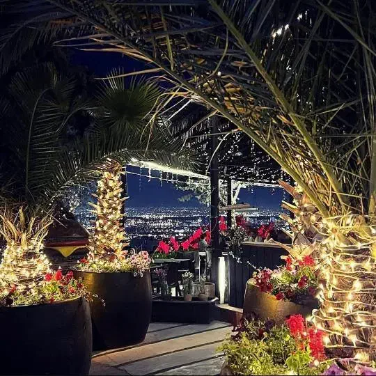 استخدام - نیرو- کافه رستوران|استخدام خدمات فروشگاه و رستوران|تهران, شهران شمالی|دیوار