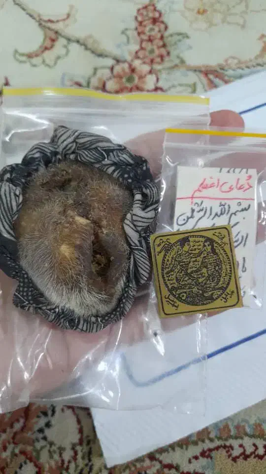 مهره های اصل اصل|کلکسیون اشیاء عتیقه|رامهرمز, |دیوار