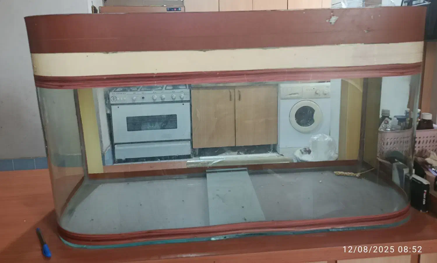 آکواریوم|ماهی|مشهد, تربیت (صدف)|دیوار