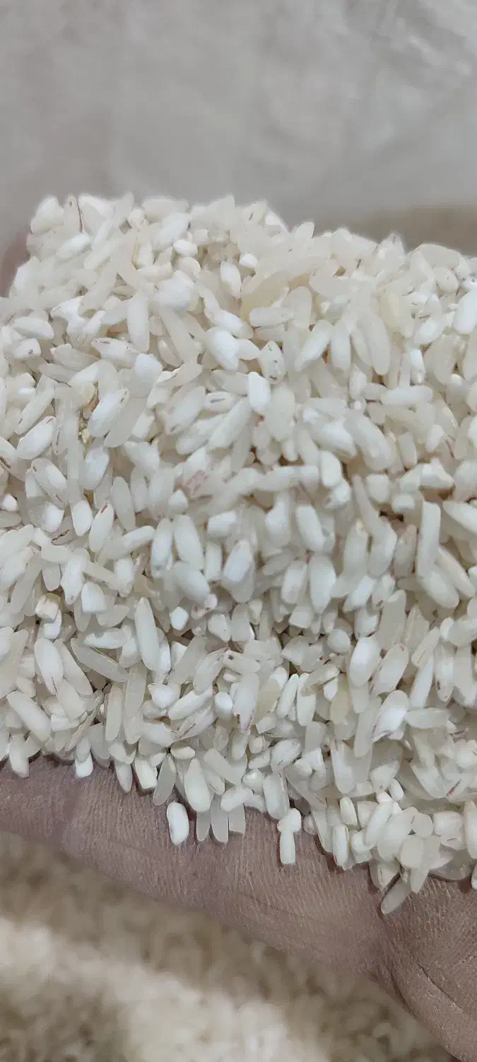 برنج اقتصادی خوشپخت فریدونکنار|خوردنی و آشامیدنی|دابودشت, |دیوار