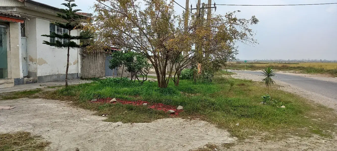 ۲ دهنه مغازه جنب همدیگه نخودچر ولوکس انبار|اجارهٔ مغازه و غرفه|رشت, خرسندی|دیوار