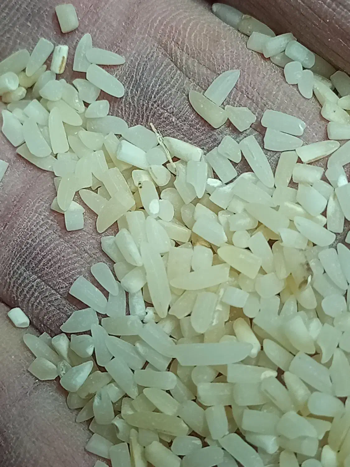 برنج صدری دودی|خوردنی و آشامیدنی|سنگر, |دیوار