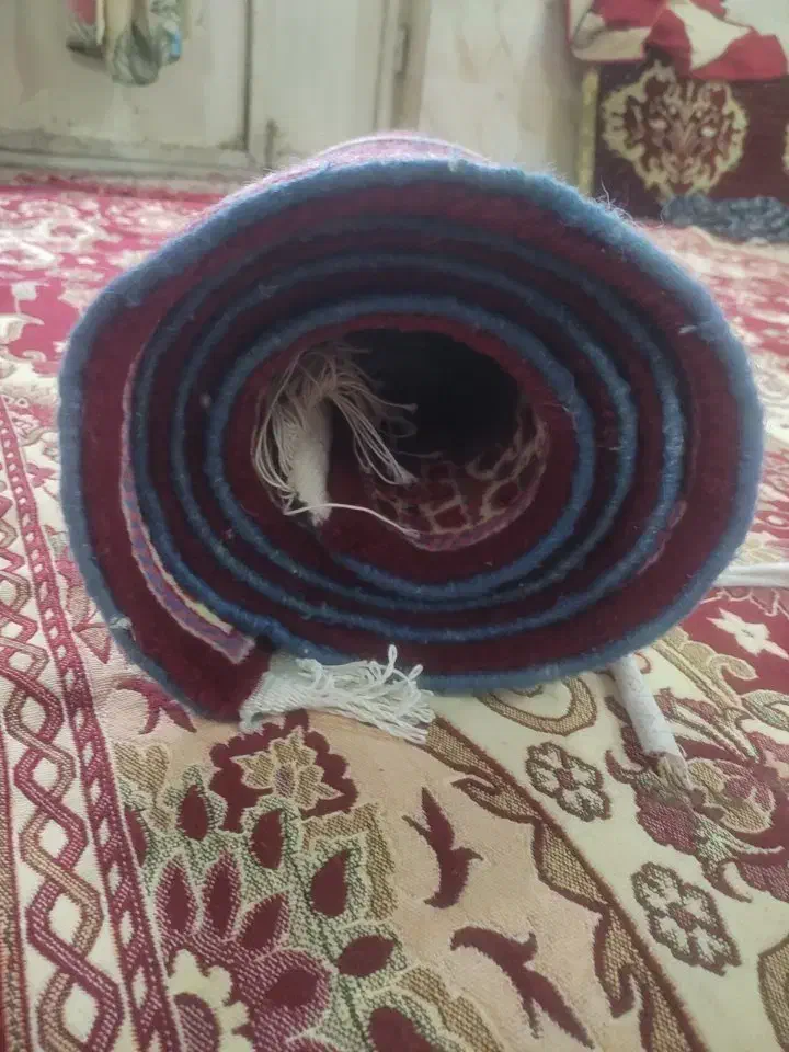 قالیه دست بافت سنتی با برترین بند سنتی|فرش|زند, |دیوار