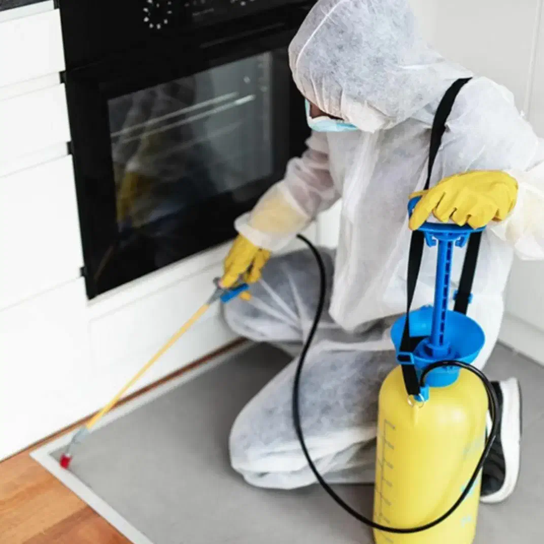 گروه سمپاشی(شبانه روزی)سم پاشی/موریانه ساس سوسک|خدمات نظافت|اهواز, کیانشهر|دیوار