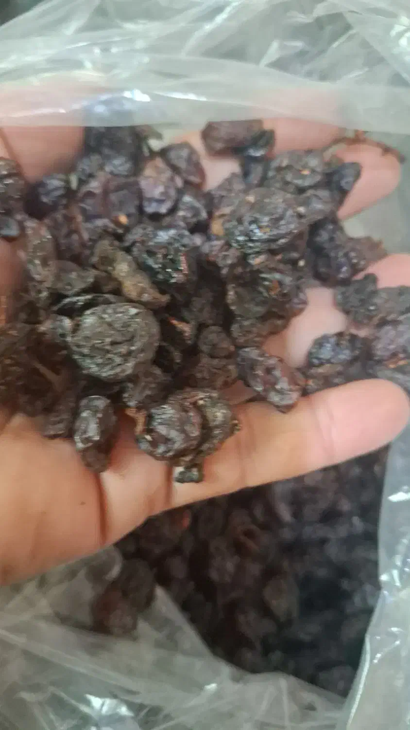 خوردنی و آشامیدنی|خوردنی و آشامیدنی|خمینیشهر, |دیوار