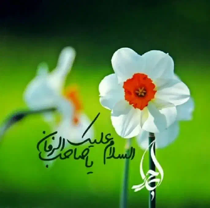 فروش حواله فیدلیتی سبزوار|خودرو سواری و وانت|سبزوار, فیاض|دیوار