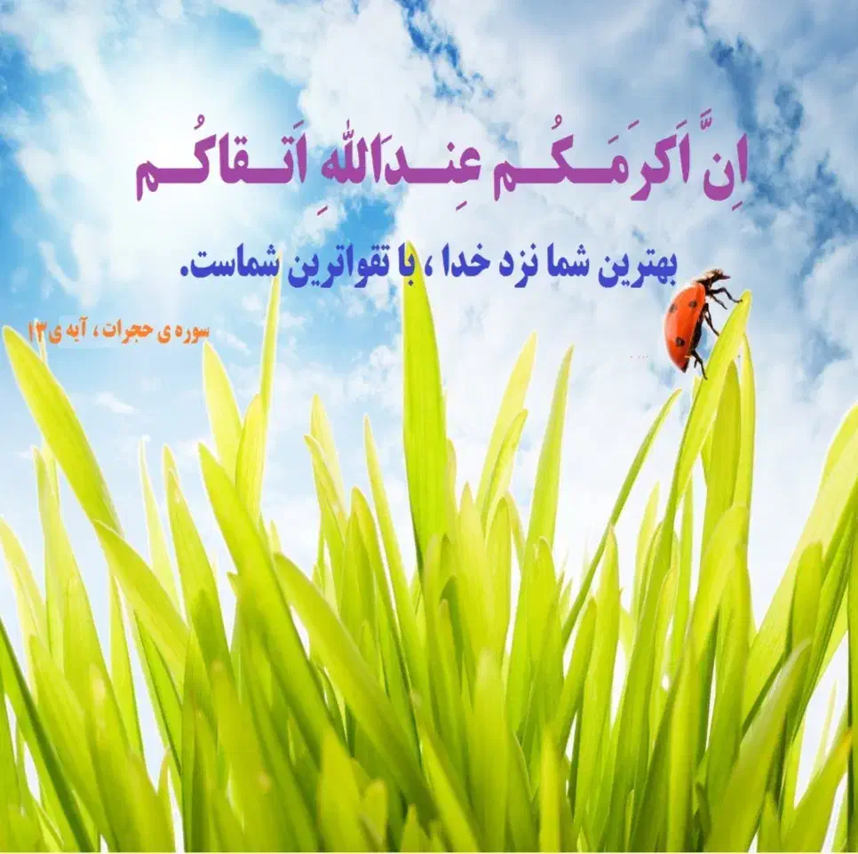 حفظ قرآن راحت و ساده /آموزشی اصولی|کتاب و مجله مذهبی|بندرعباس, |دیوار