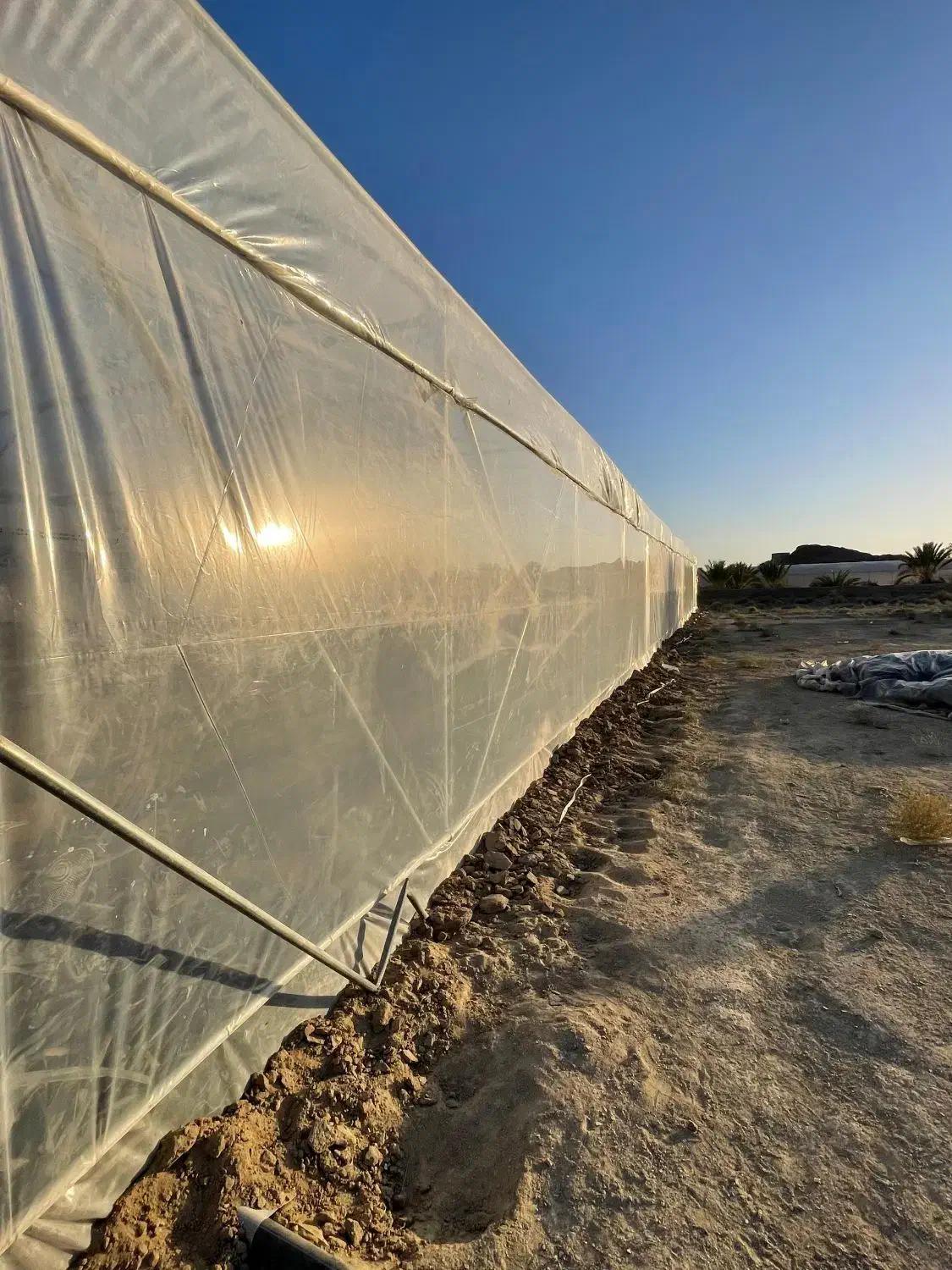 فروش گلخانه همراه با زمین و آب|اجارهٔ دفتر صنعتی، کشاورزی، تجاری|سراوان, |دیوار